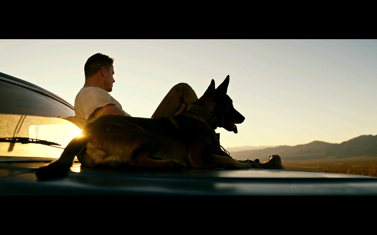 Обзор фильма "Лулу и Бриггс", комедия