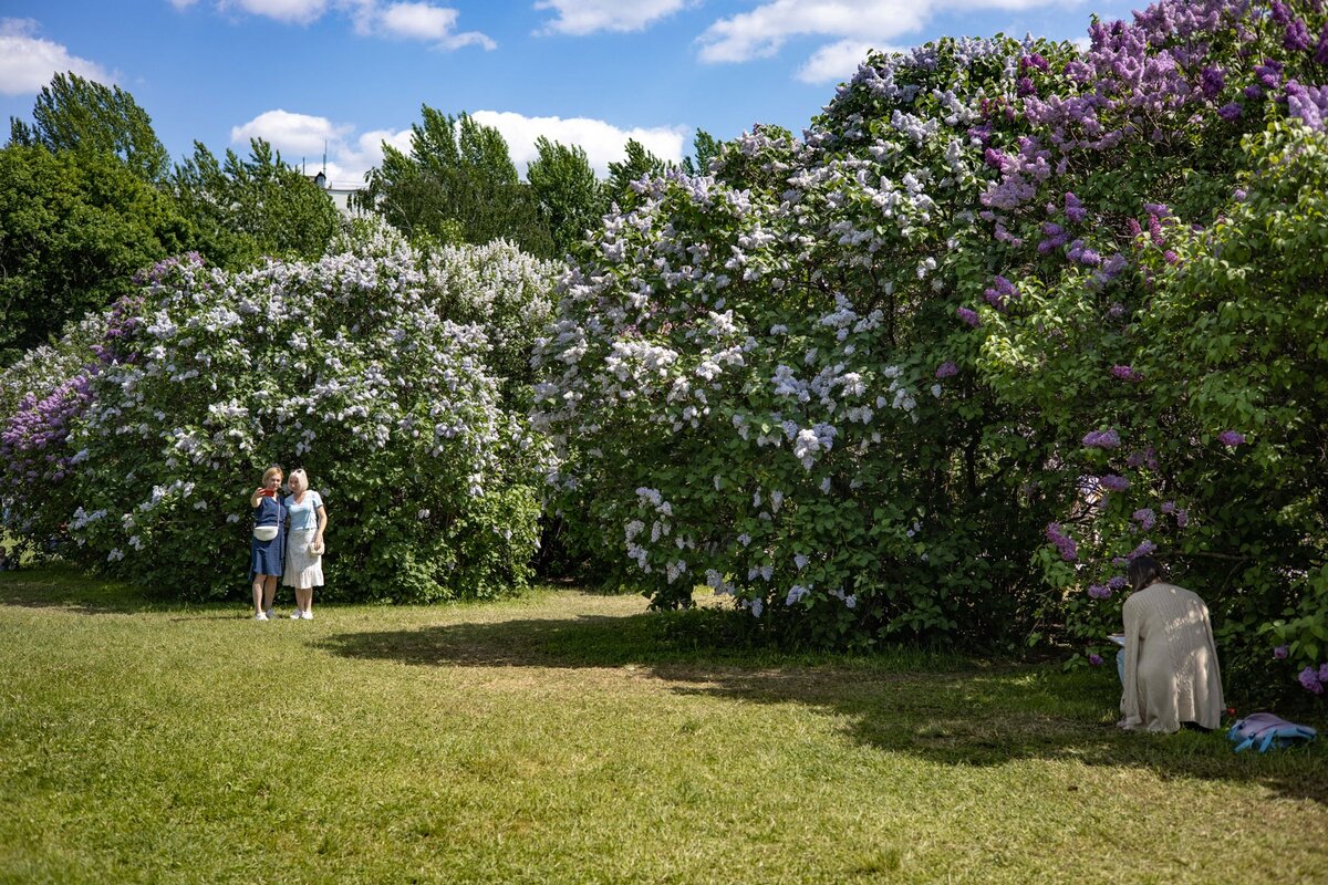 Фото ph_zakharenkova 26.05.2021г. Парк Сиреневый сад