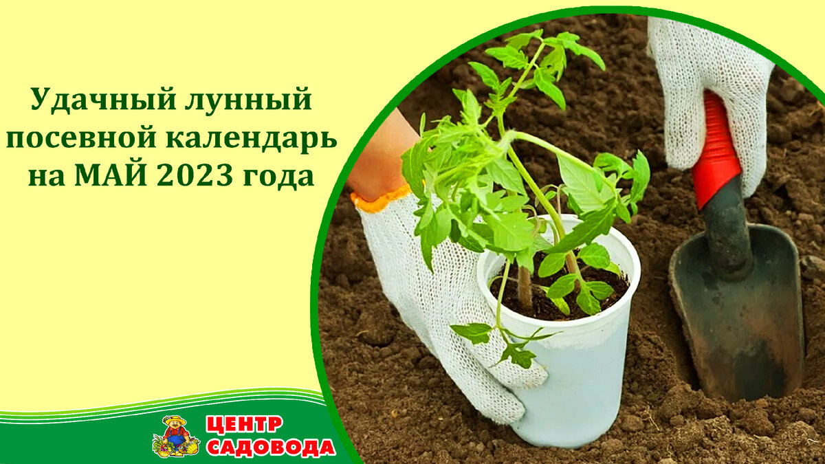 Лунный посевной календарь огородника и садовода на май года