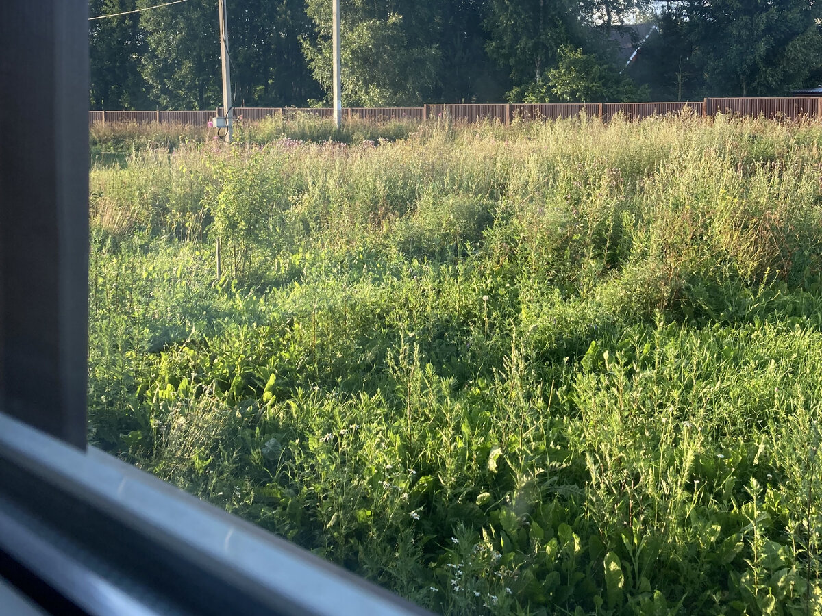 Вид из окна на эту зону летом →