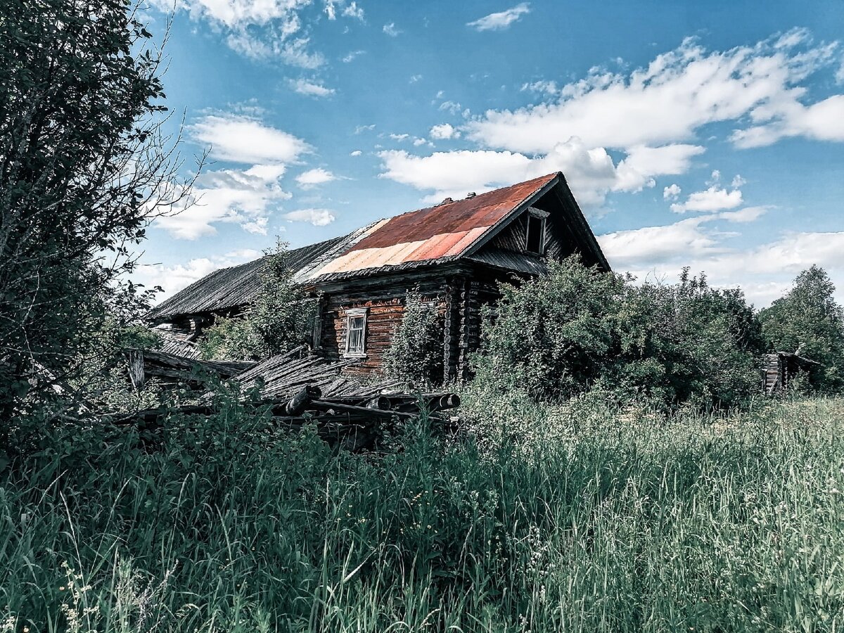 Большой поход – заброшенные деревни Гарино, Казанер, Гражданский,  Преображенское, Новоуспенье, Высокая Рамень в Нижегородской области Тоншае  | Уйду в лес | Дзен