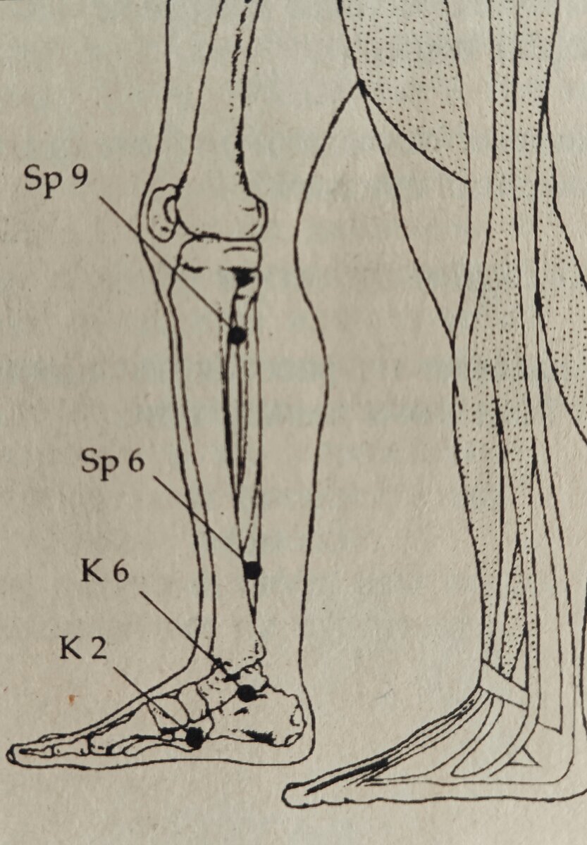 Точки для избавления от отеков в нижней части тела