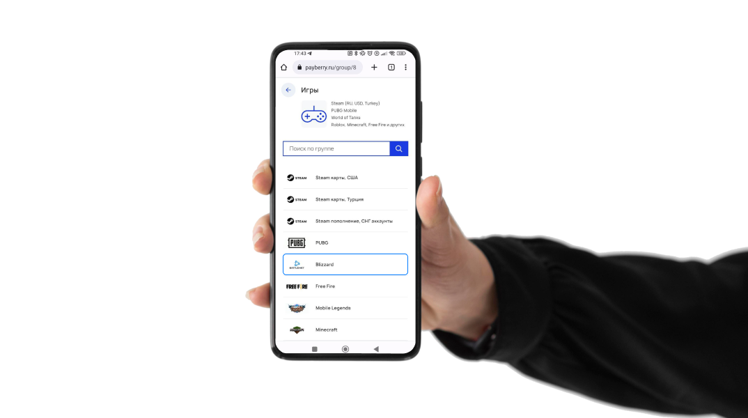 Payberry оплата стим