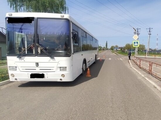 ФОТО: УГИБДД УМВД РОССИИ ПО ТАМБОВСКОЙ ОБЛАСТИ 