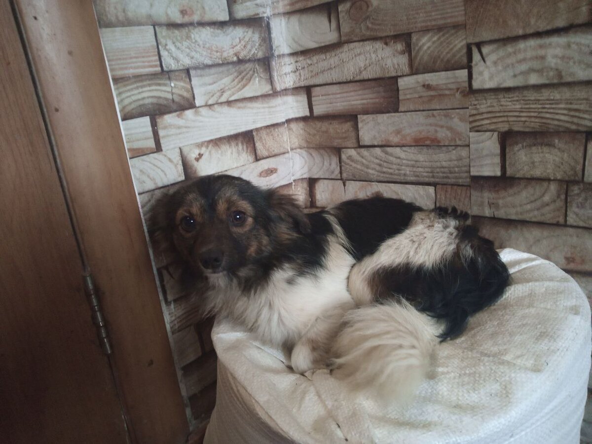 Так мило спал на стартовом, фото остались от моего друга❤️