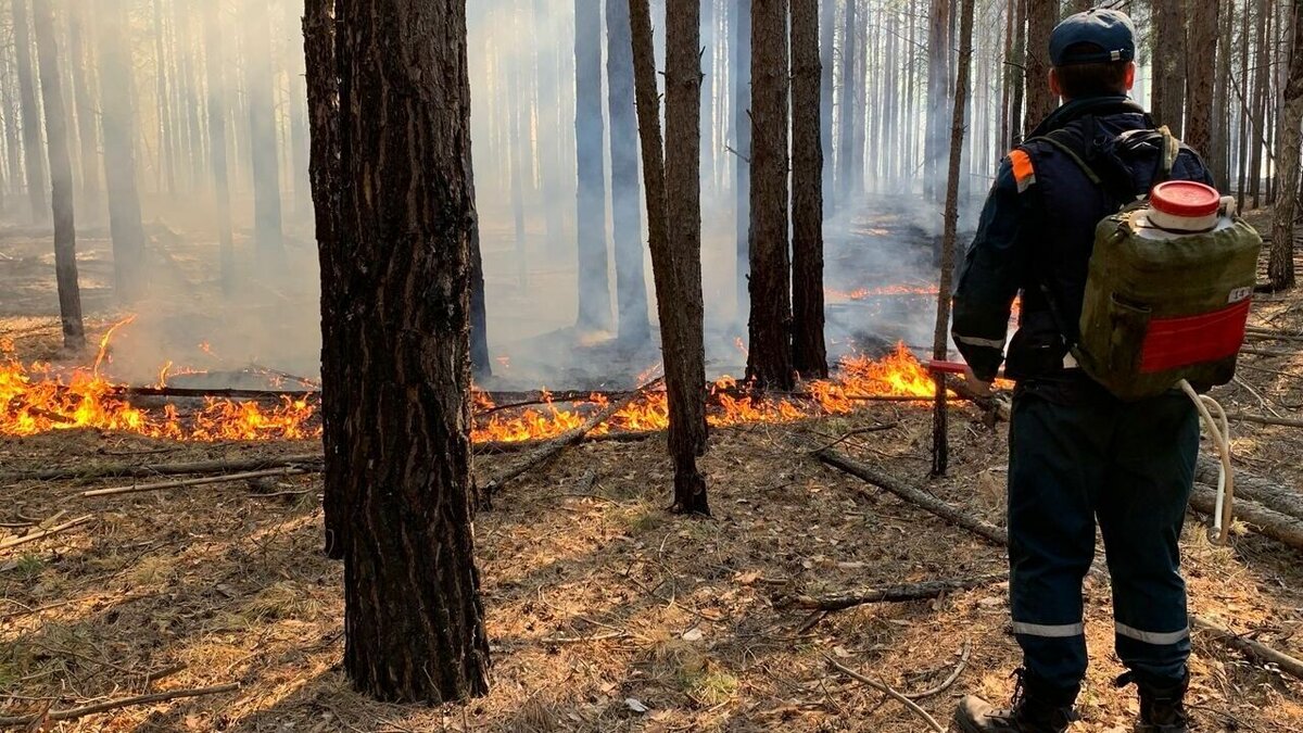     В лесах Тюменского района введен режим ЧС. Такое решение принято в связи со сложившейся пожароопасной обстановкой.