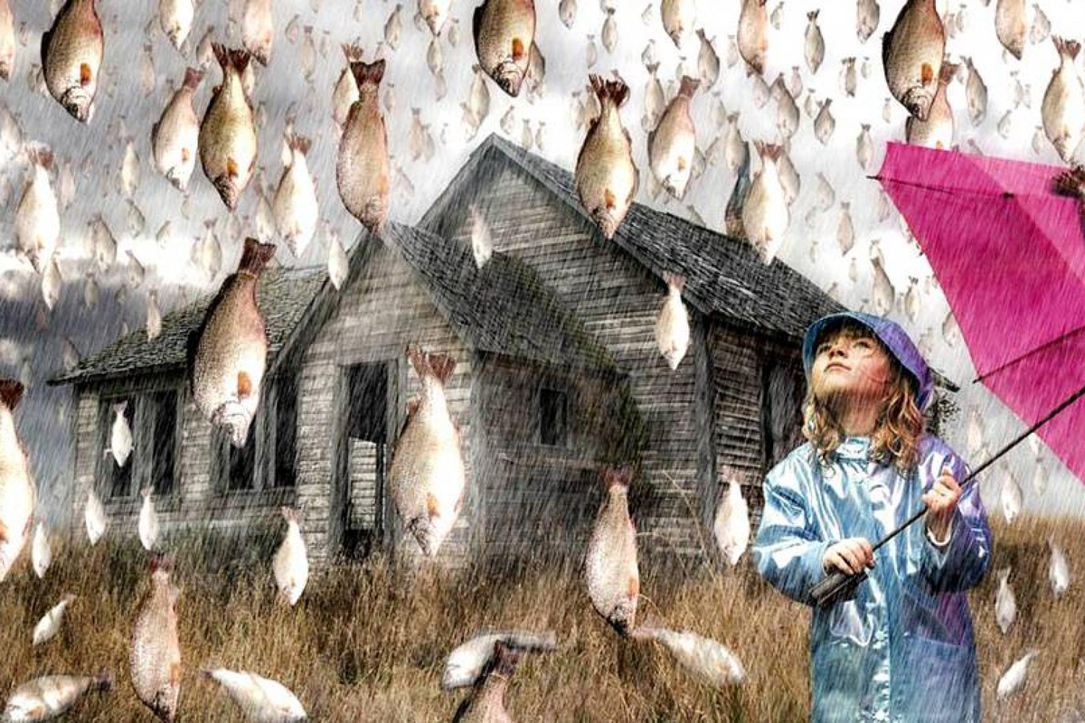 Из свободных источников Интернета