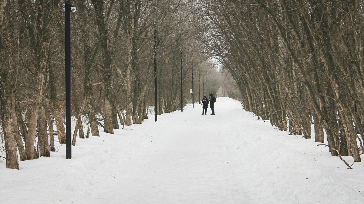     В этом году весна в регионе, пожалуй, самая непредсказуемая.