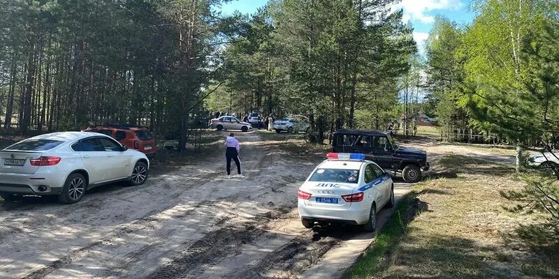  В лесах  Нижегородчины у посёлка Пионерский  фото: картинки  яндекса.