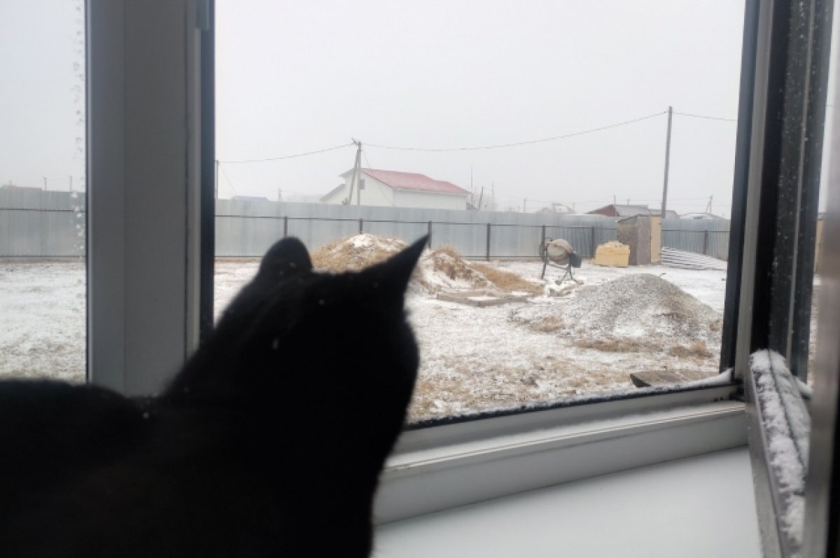    На востоке Коми сильный снегопад продлится до шести часов утра 8 мая.