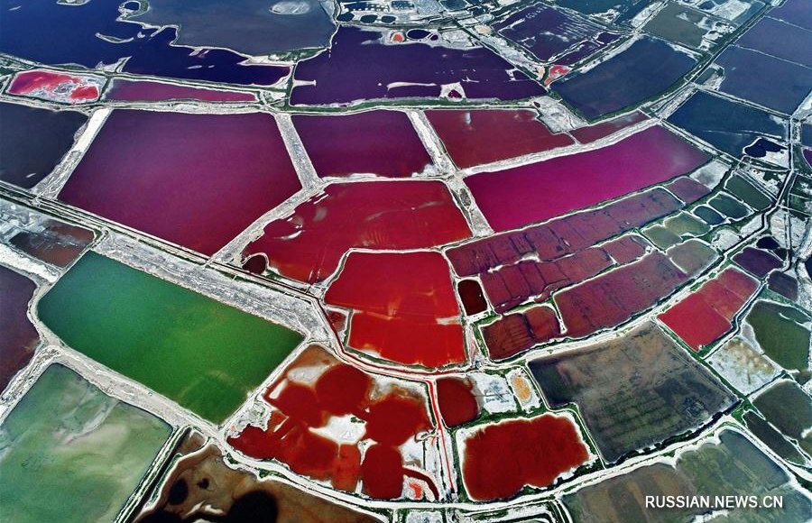    Фото: Синьхуа/Сюэ Цзюнь