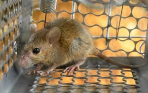    Фото: freepik.com Анна Полякова