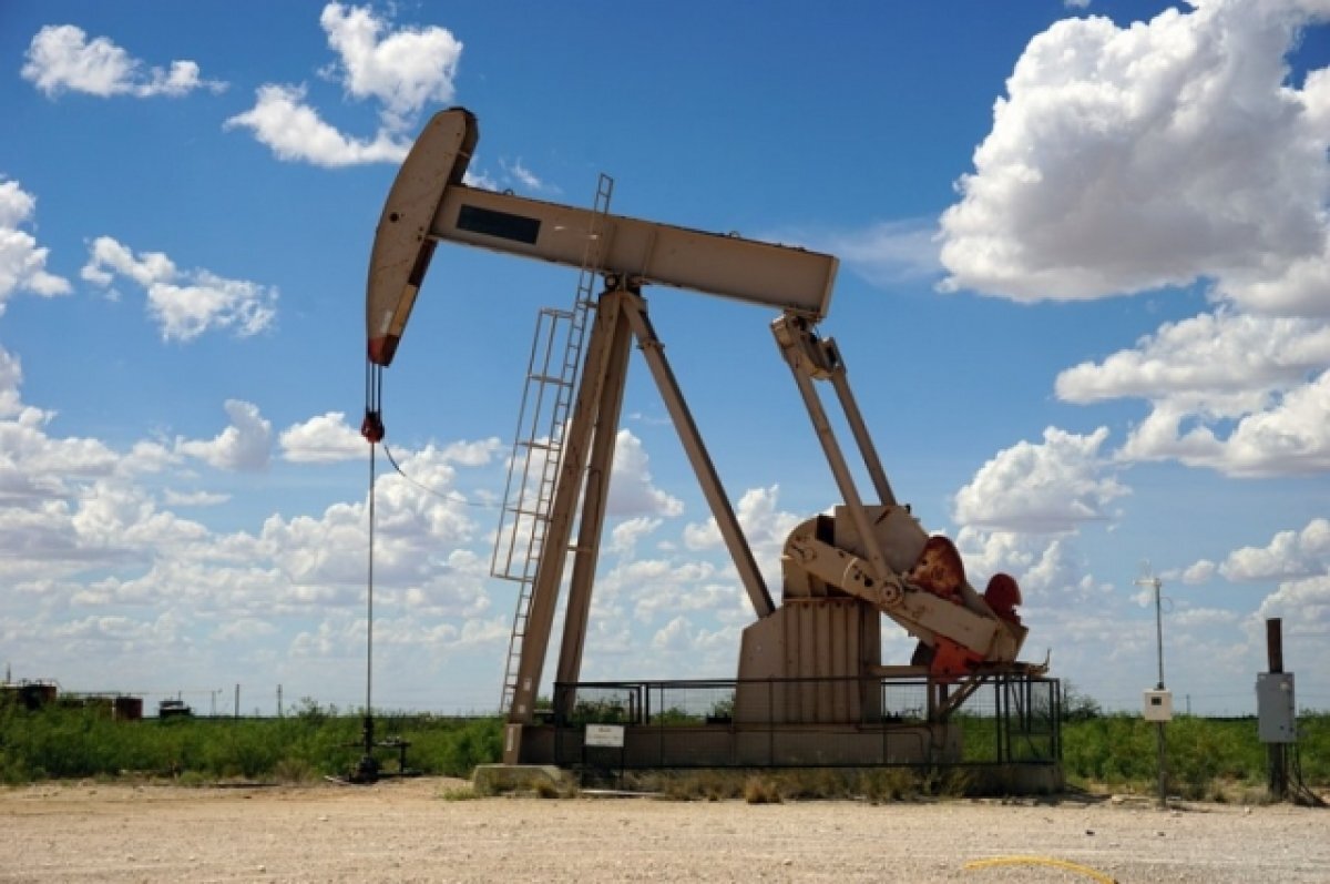    Почти четверть добываемых запасов нефти в регионе – трудноизвлекаемые.