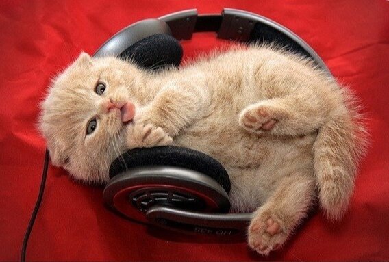 (из открытых источников)