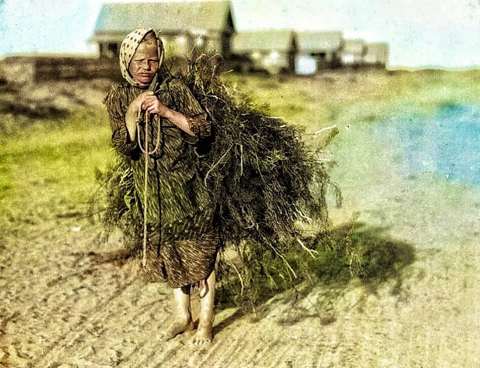 Девочка с сеном из бедняков (1896 год)