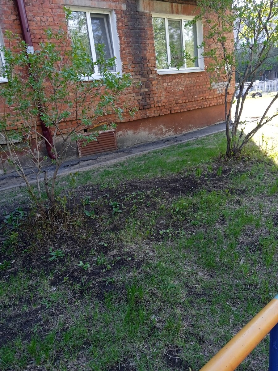 Проблемы в подвале, подмывает фундамент. ;я Железнодорожная д.12.
