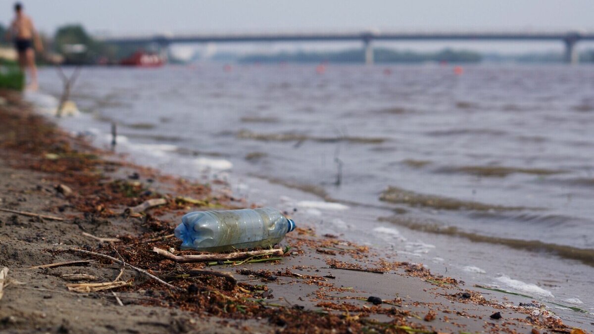     Большой вздутый труп некогда прекрасного морского обитателя обнаружили жители Приморского края. На берегу Океанской во Владивостоке разлагается тюлень.