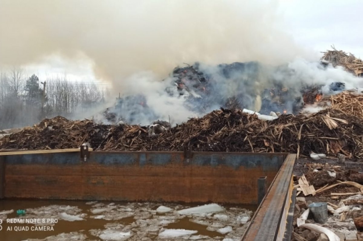    Решено принять меры: во Владивостоке постоянно горят отходы на полигоне
