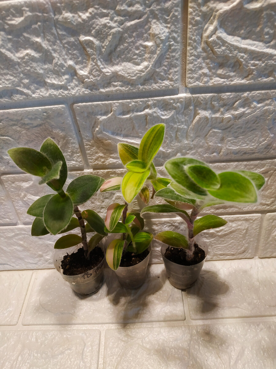 Фото из архива автора.