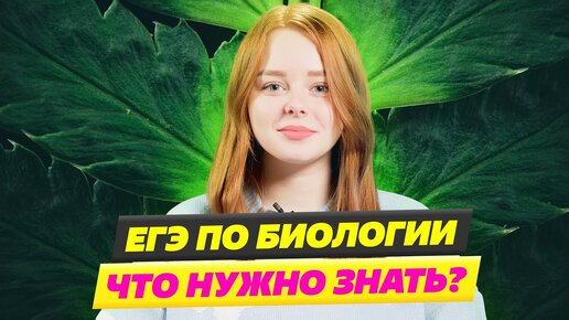 Как сдать ЕГЭ по биологии на 90+ в 2024?🐇