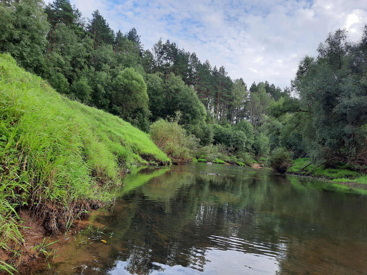 Недалеко от устья Вори. Фото автора. 