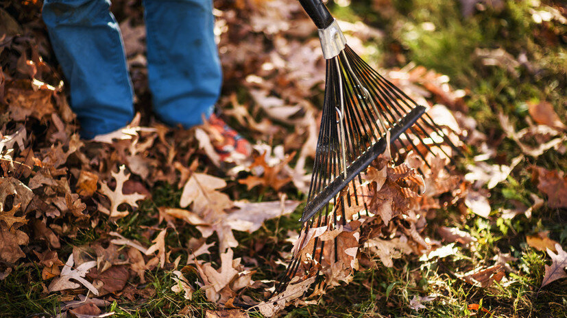   Gettyimages.ru Elizabethsalleebauer