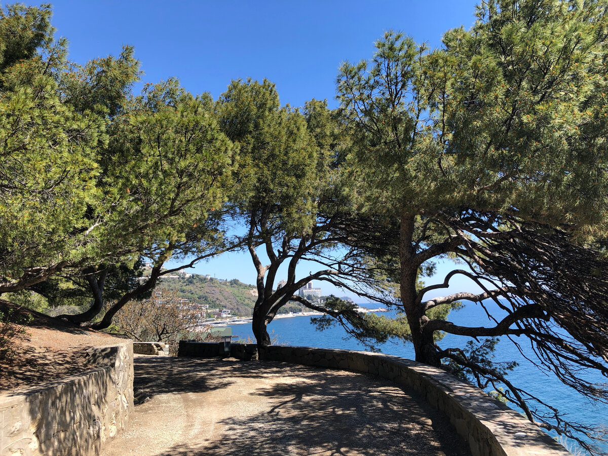 какой-то парк в Алупке