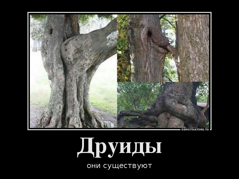 ...ЖАЛЬ, ЧТО МЫ ИХ НЕ ЗАМЕЧАЕМ, ДЛЯ НИХ...