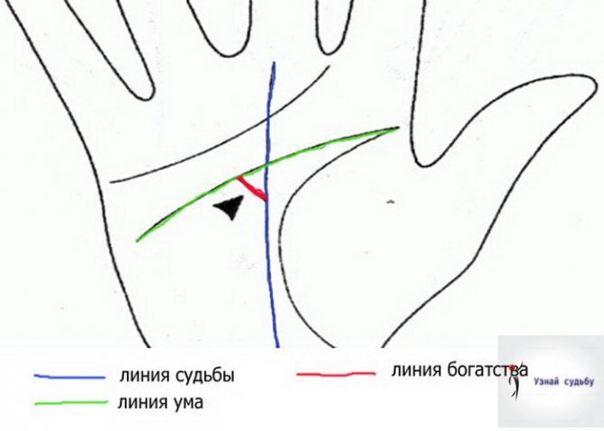 Хиромант линии судеб