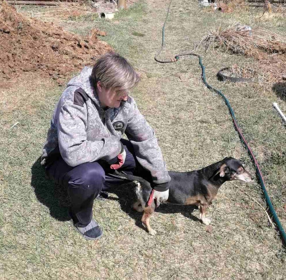 Наша сосисочка.