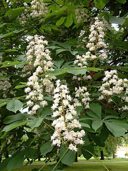    © Victor Lisitsyn, Виктор Лисицын, Global Look Press