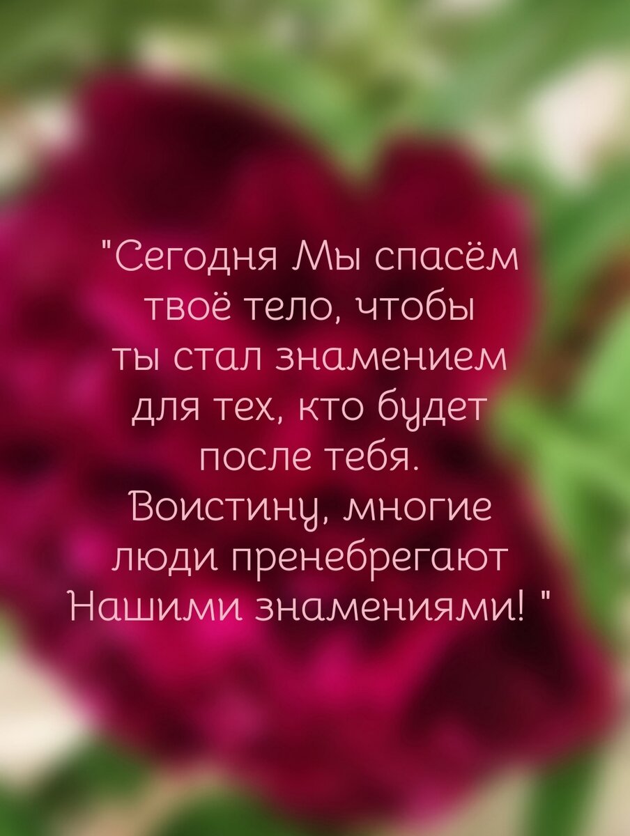 Что написано в Коране про фараона Рамзеса ll, после чего французский учёный принял  Ислам?⬇️⬇️ | Записки Мусульманки🧕 | Дзен