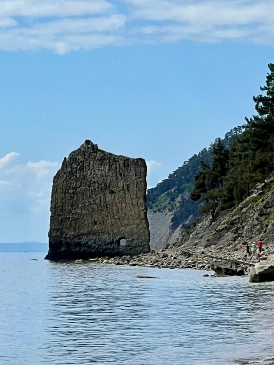 Секретное место курорта Геленджик. Здесь самое чистое море и комфортный  пляж среди пицундских сосен. | Никитины про жизнь на море. | Дзен