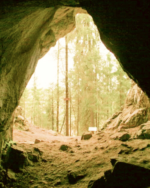 Парк Оленьи Ручьи: свидетель природы и истории