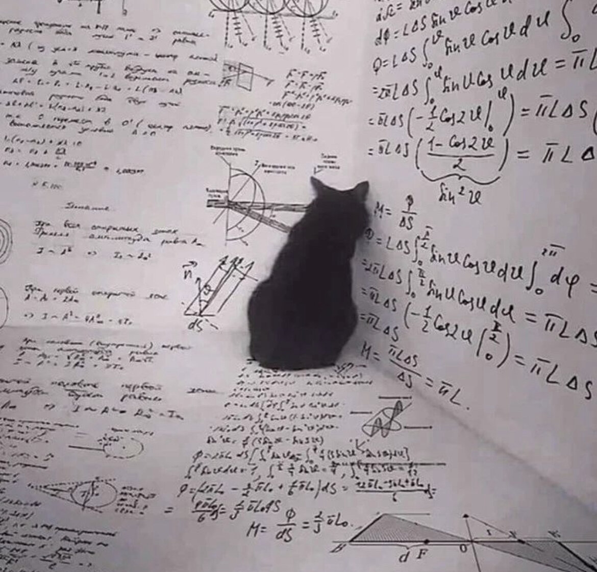 Котики тоже хотят разобраться в расчетах сроков.