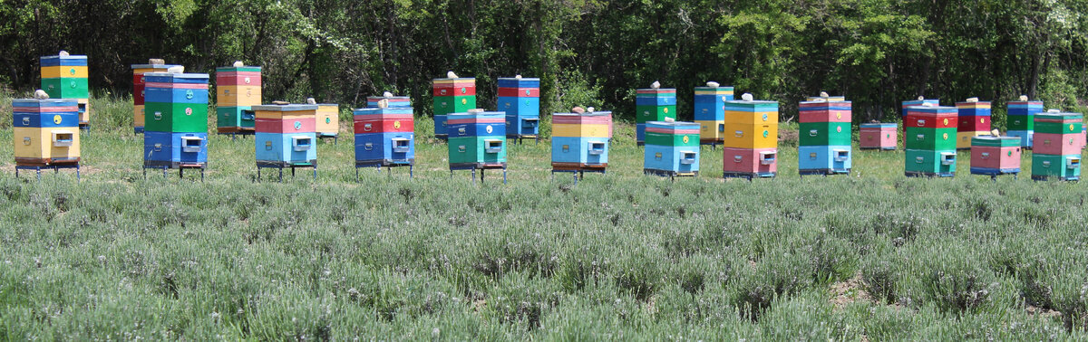 Пасека Медовый Крым в Белогорском районе, Крым