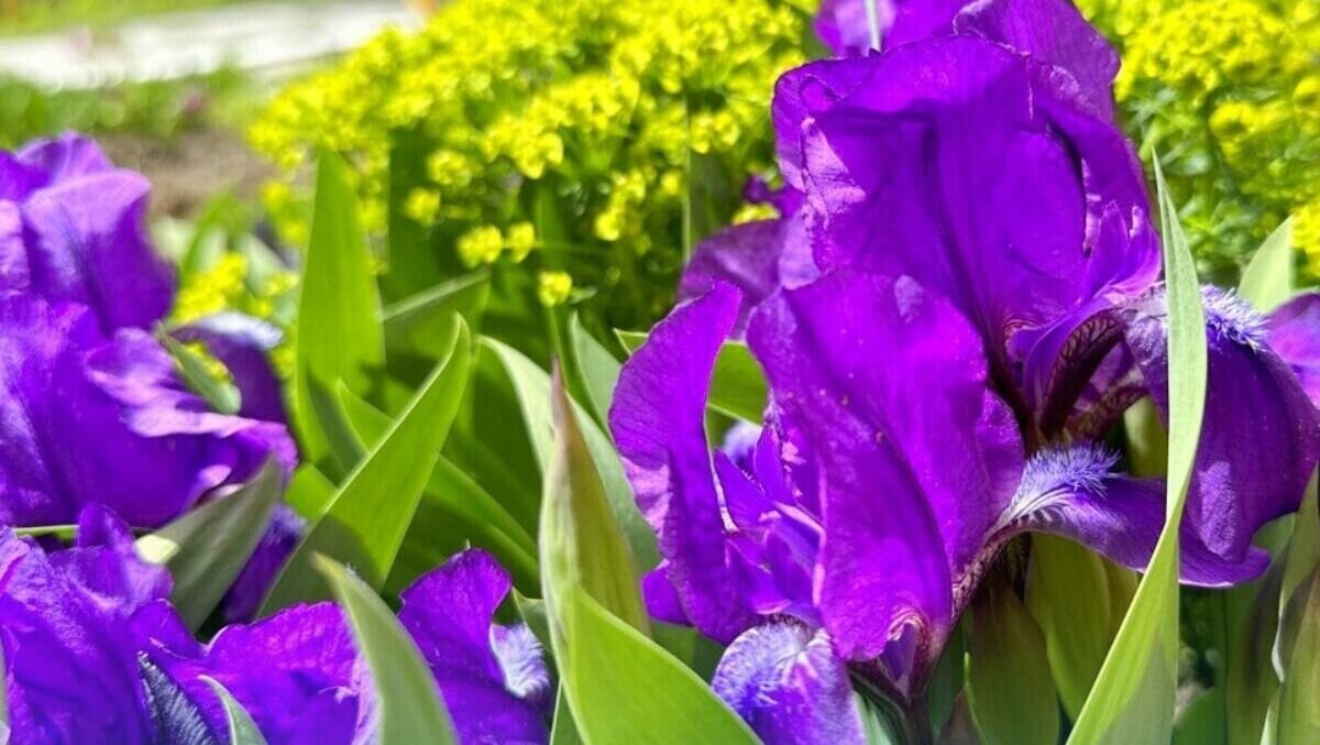     Городской центр народной культуры Спасска-Дальнего «Приморье» вскоре порадует и удивит горожан своим внешним видом — здесь проводится большой ремонт.