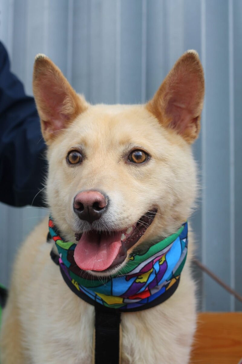 Один в юности, после лечения.