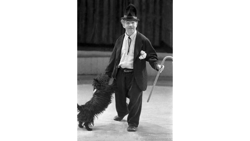 румянцев клоун карандаш. клоун карандаш и клякса. михаил румянцев карандаш. клоун карандаш порода собаки кляксы. собака чарли чаплина клякса.