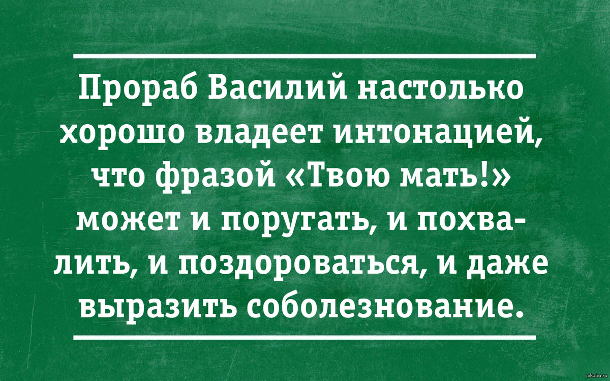 Хорошо владеет русским языком