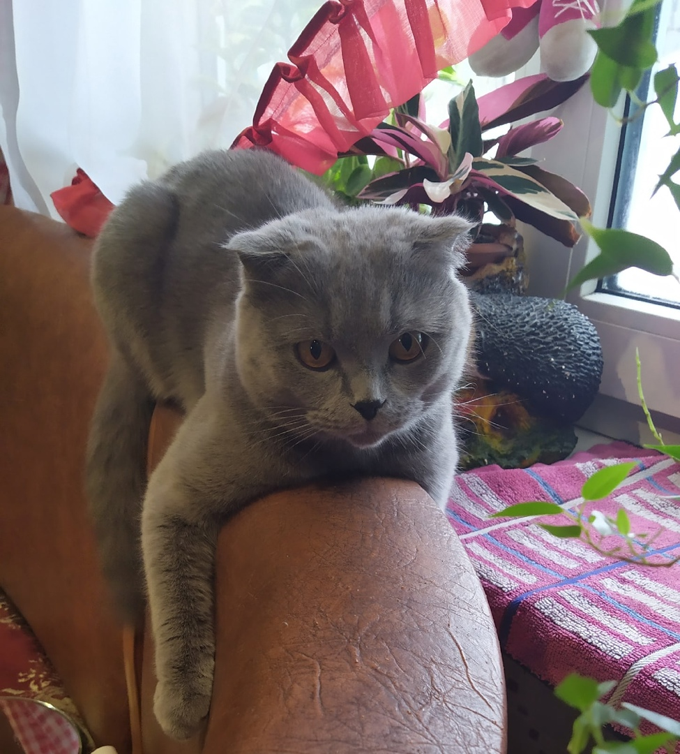 Хорошее дело - отдых.