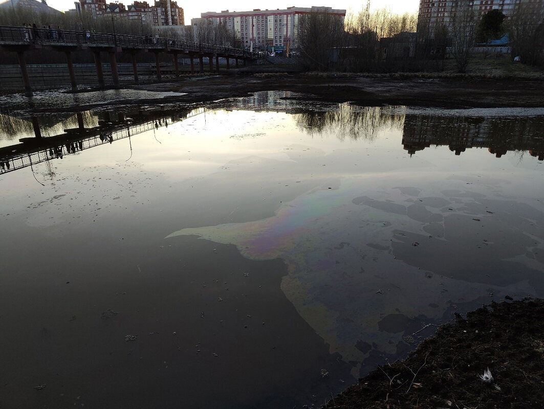    Сайма в Сургуте наполнится водой до конца мая