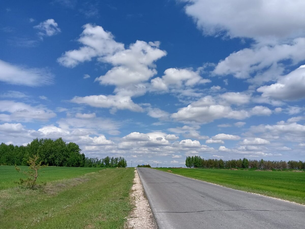 фото дочки автора, наш путь домой