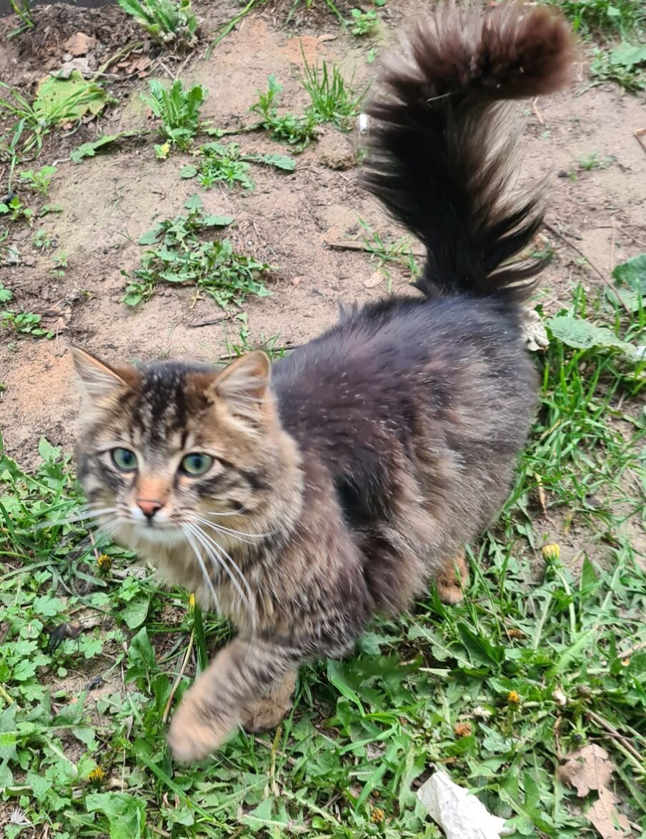 Мальчик-сибиряк Миша