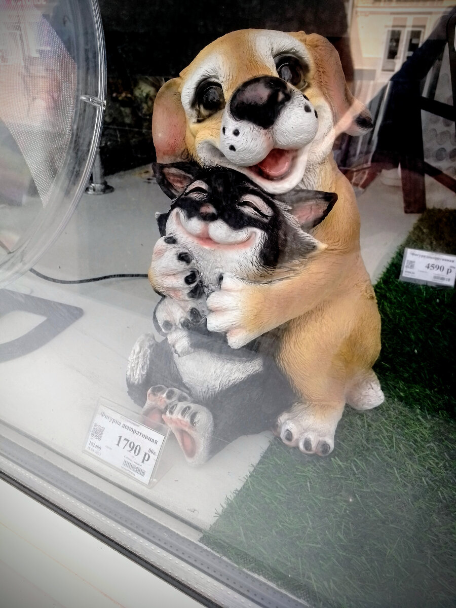 Жить как кошка с собакой. Это как? А вот так! 