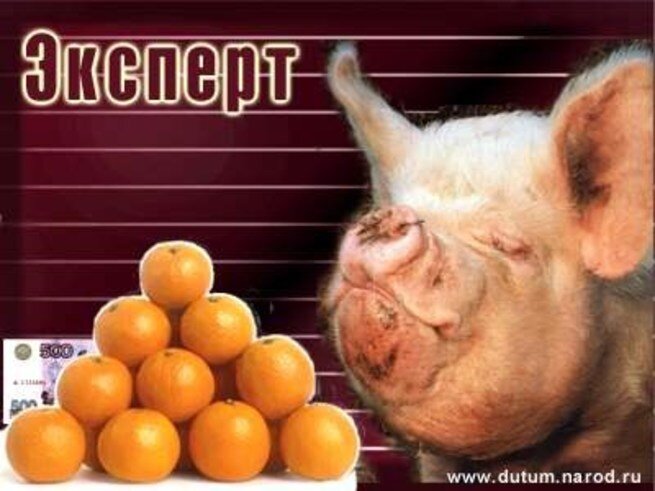 изображение с сайта cont.ws