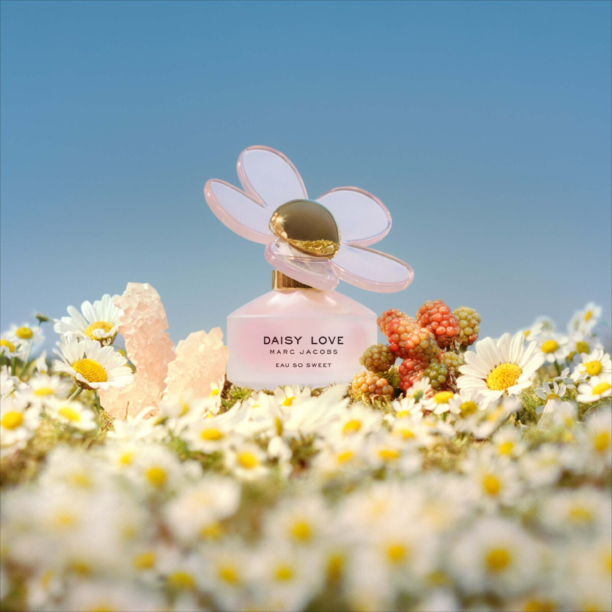 Daisy light. Daisy Love. Marc-Jacobs-Daisy красивые фото. Marc-Jacobs-Daisy-Eau-so-Fresh красивые фото.