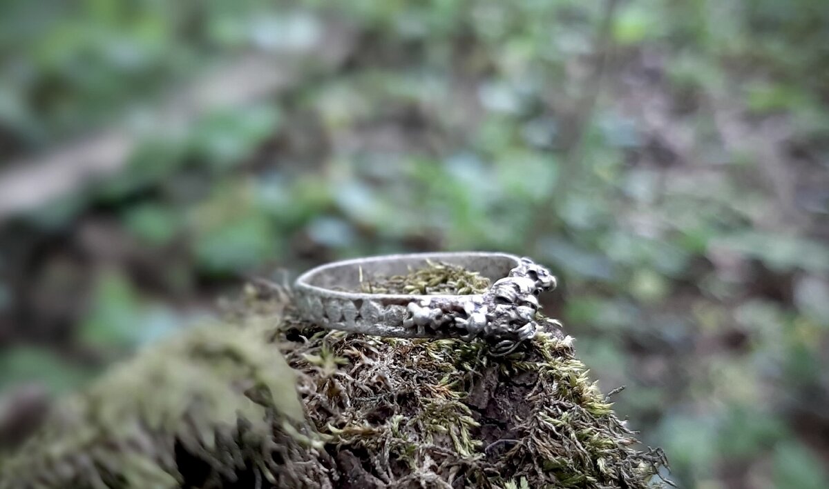 Фоток моего первого найденного серебряного колечка не сохранялось, но оно было очень похоже на это. Кольца весьма распространенная находка с МД