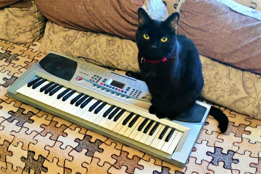 ���� � �� ���������. �������� ����: ������ �����