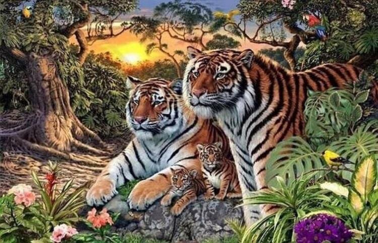 Проверим вы нашли на картинке, внимательность сколько тигров.